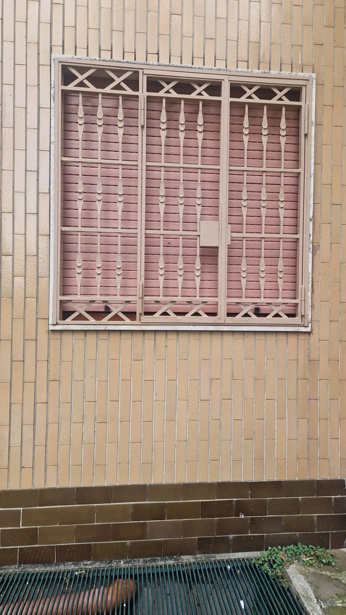 Azione di pallavolo 2